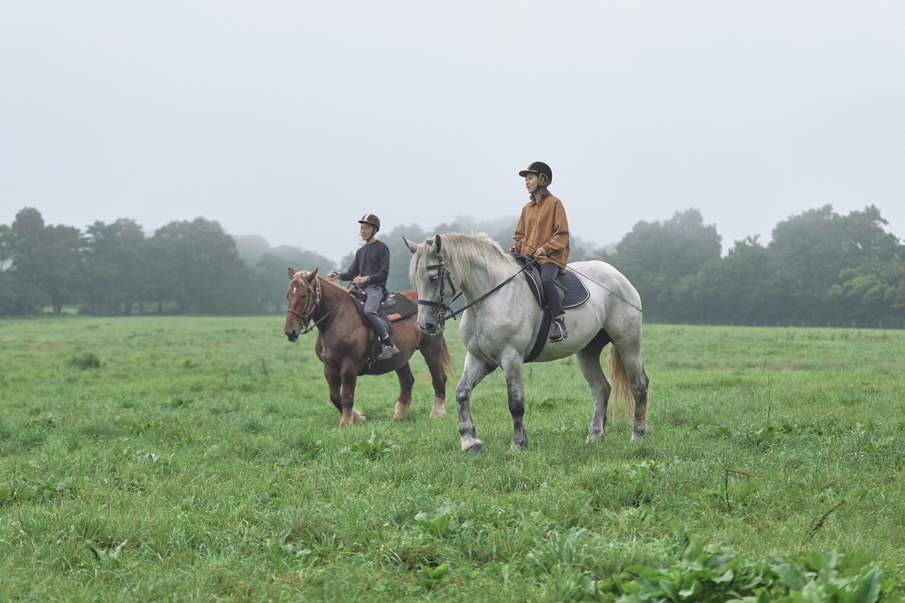 Tres personas montando a caballo en un campo con árboles al fondo.