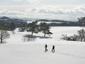 Snow and ski sports - AZUMA FARM Koiwai (Shizukuishi)