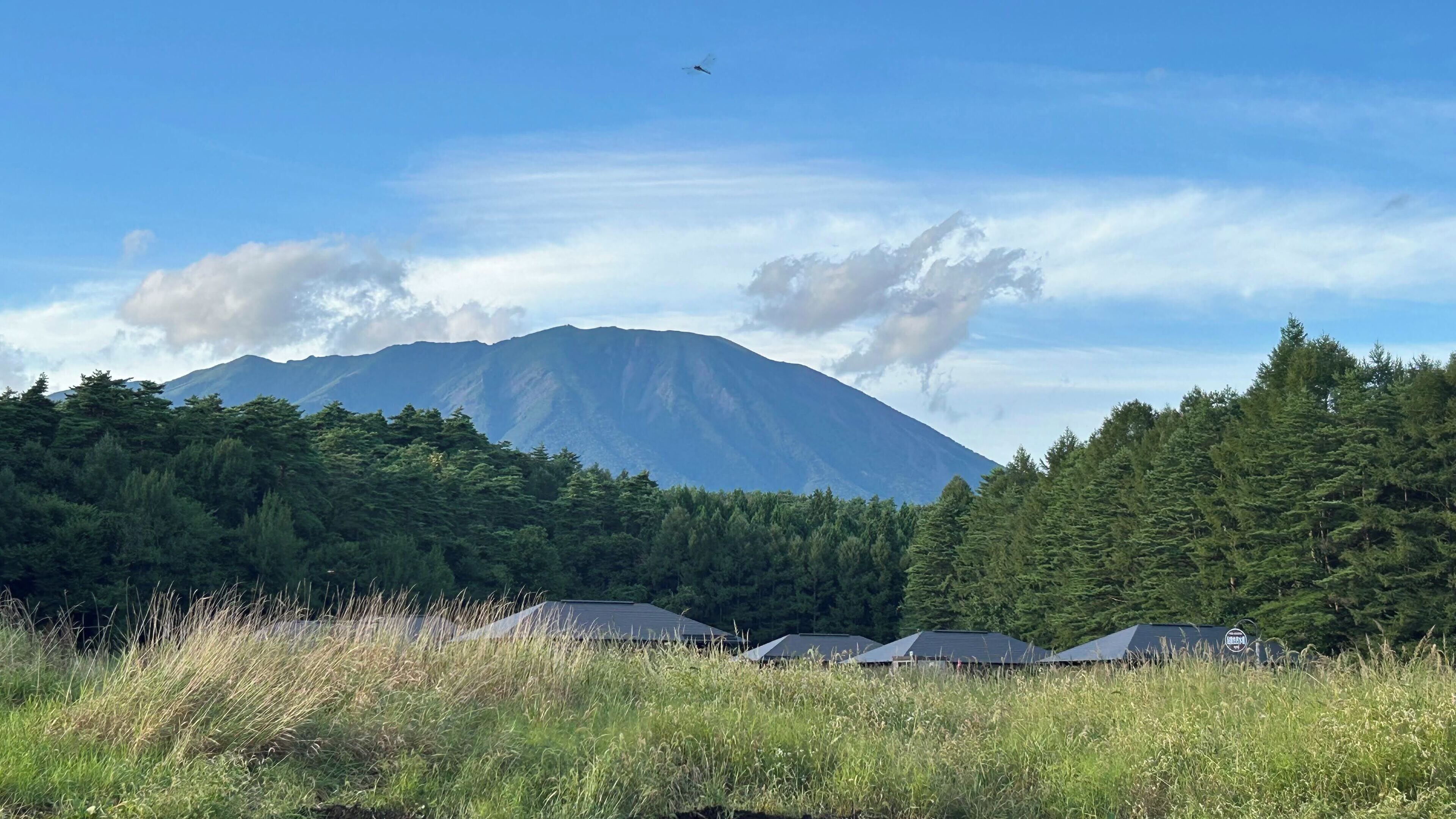 A mountain with a clear sky, surrounded by dense forest and several buildings with dark roofs.