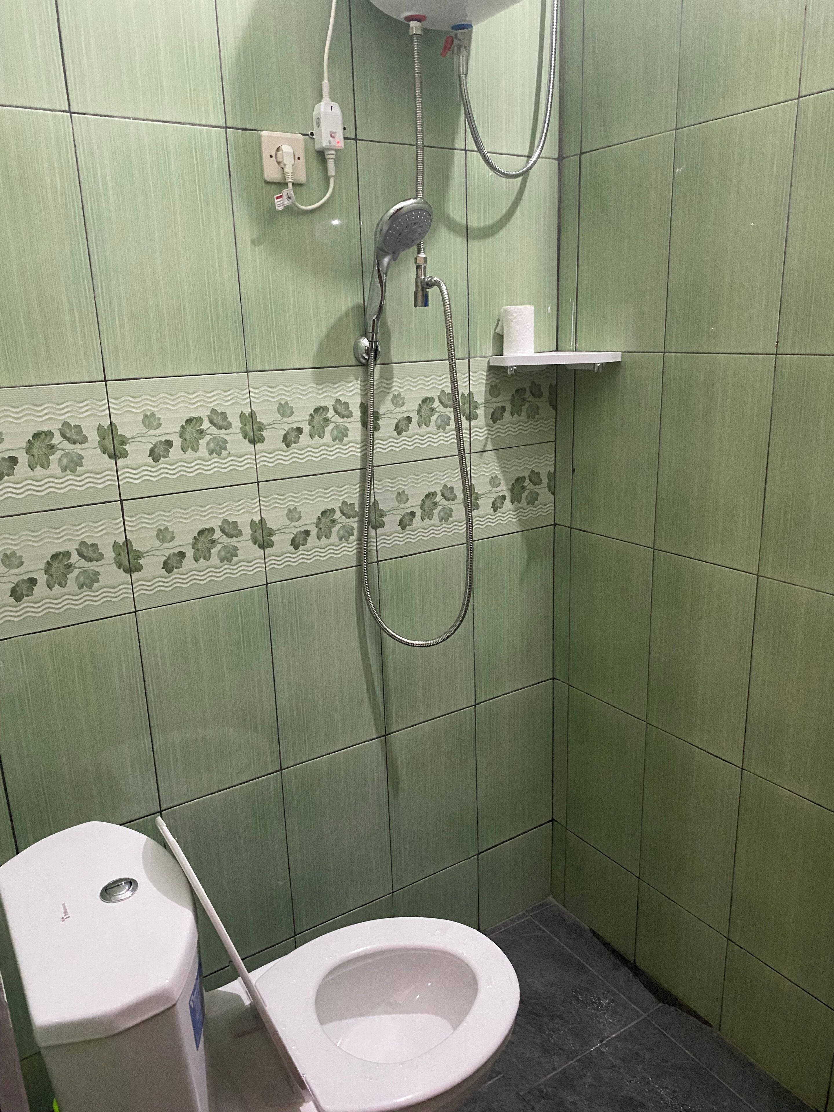 A small bathroom with a toilet, a shower, and a wall-mounted shelf.