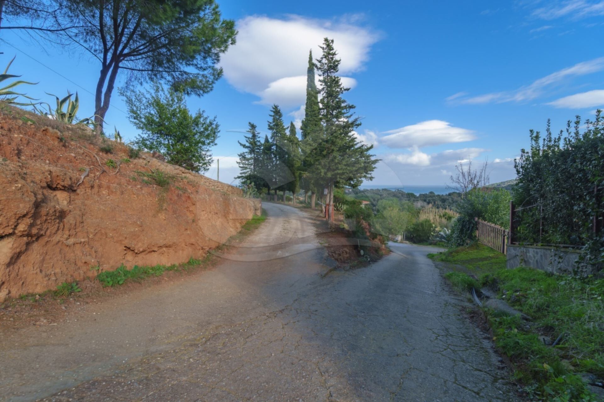 A rural road with a dirt shoulder and trees on both sides.
