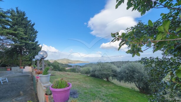 A garden with potted plants, a patio area, and a view of the sea and hills.