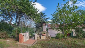 A garden with a paved entrance, a cactus pot, and a brick wall.
