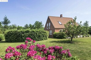 Terrain de l’hébergement 