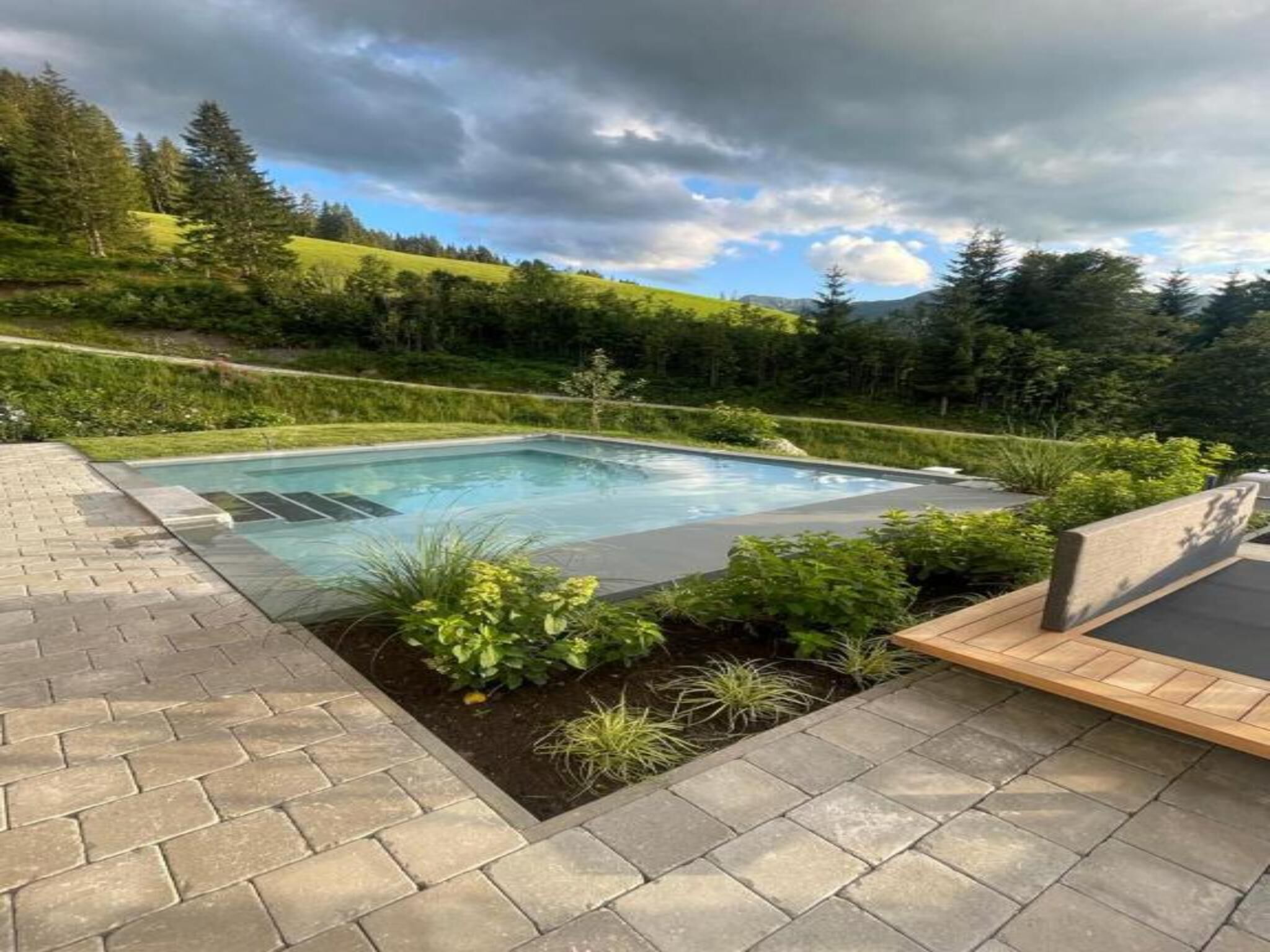 A rectangular swimming pool with a dark edge, surrounded by a paved deck and lush greenery.