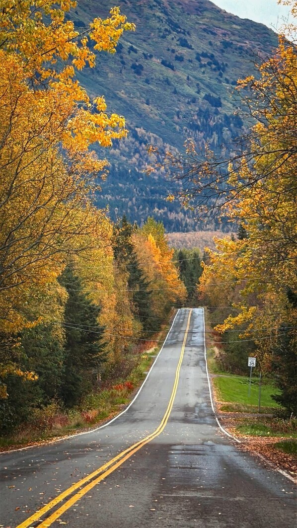 Carretera con un cartel de límite de velocidad de 35, rodeada de follaje otoñal y una montaña al fondo.