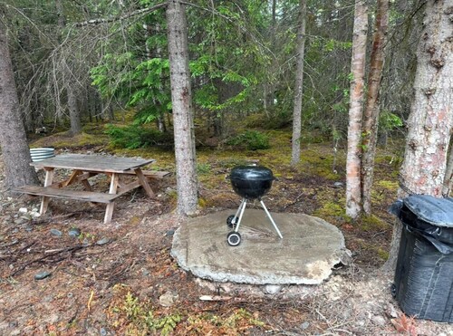 Resurrection Campsite 1