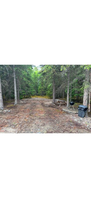 Property grounds - Resurrection Campsite 1 (Hope)