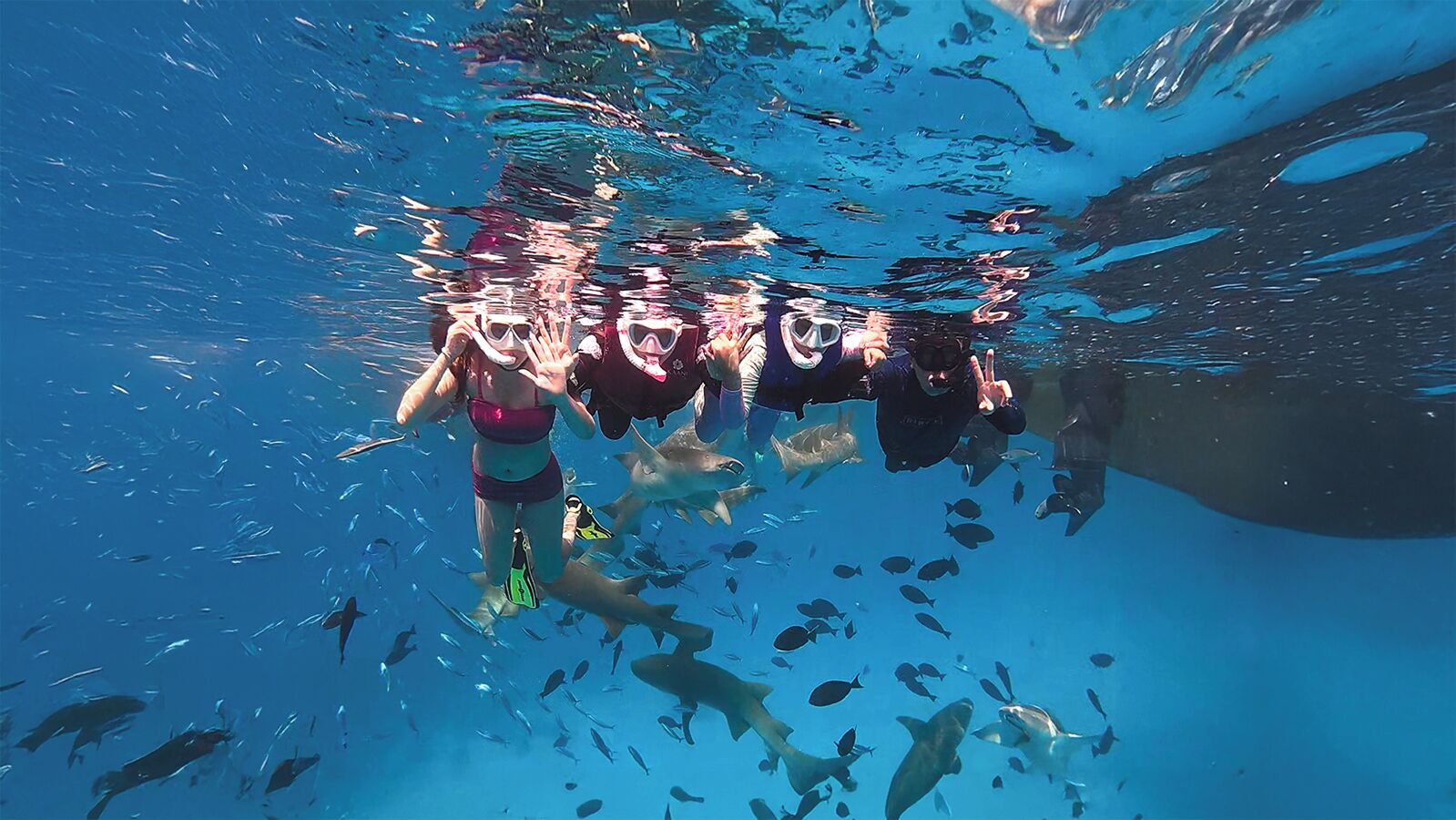An underwater view of a swimming pool with people and fish.