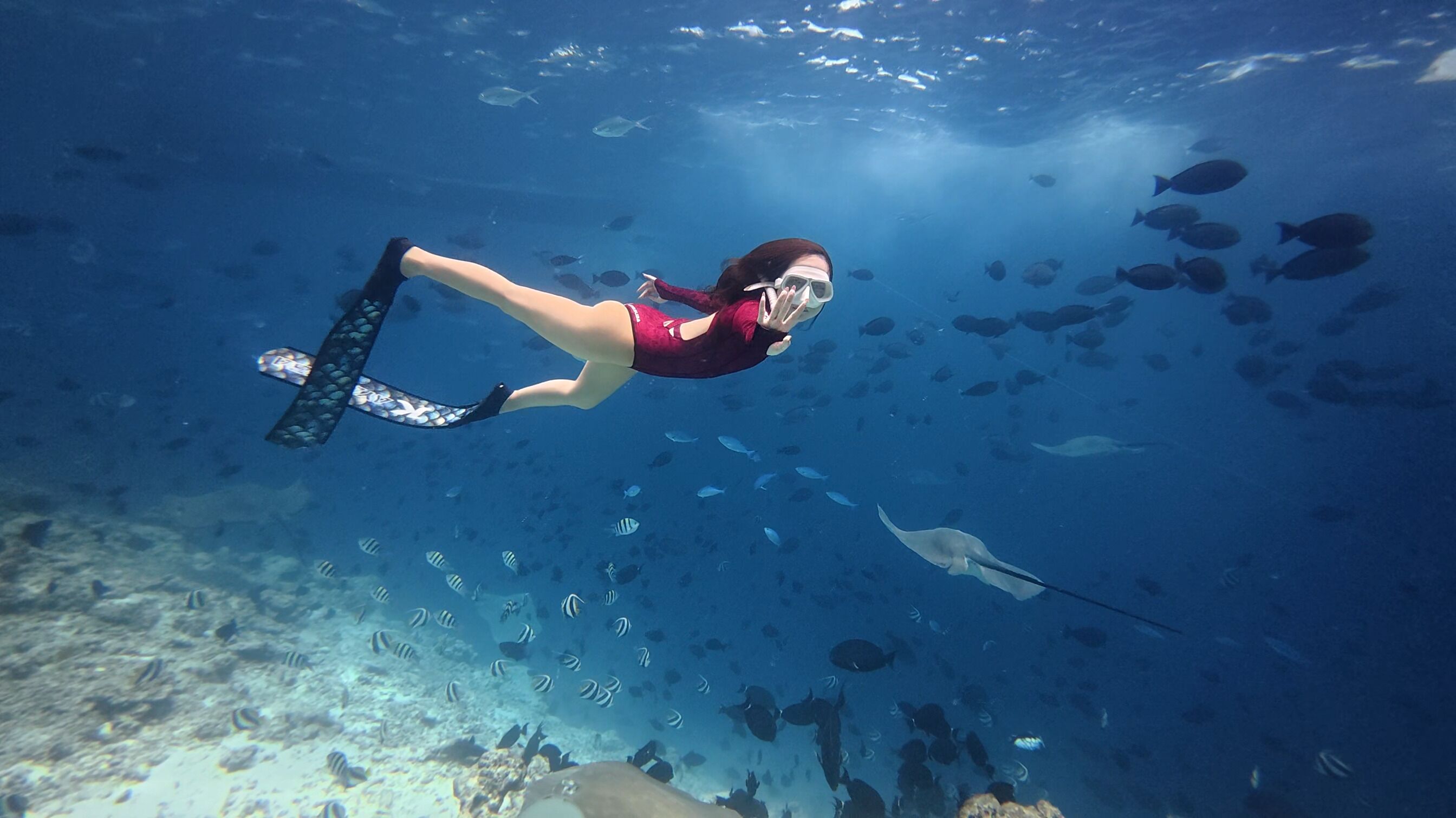 A person scuba diving with a school of fish and a stingray in the background.