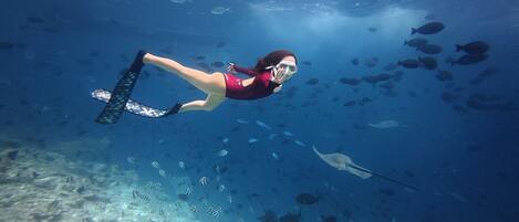 A person scuba diving with a school of fish and a stingray in the background.