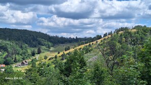 Immagine non classificata, 5 di 18, pulsante