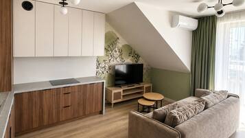 Flat-screen TV