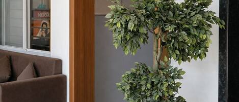 A modern interior with a potted tree, a brown sofa, and a door leading to another room.