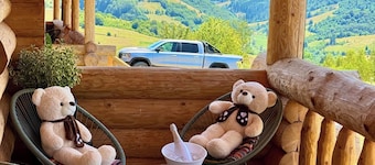 Wonderful 2-bedroom Vega Chalet in charming Brasov,Holbav for a cozy getaway