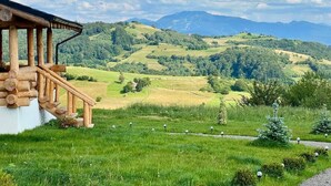Property grounds - Wonderful 2-bedroom Vega Chalet in charming Brasov,Holbav for a cozy getaway (Holbav)