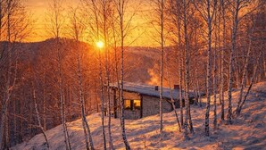 Exterior - Wonderful 2-bedroom Vega Chalet in charming Brasov,Holbav for a cozy getaway (Holbav)