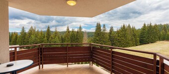 Welcoming 1-bedroom apartment in charming Stoykite for your stay