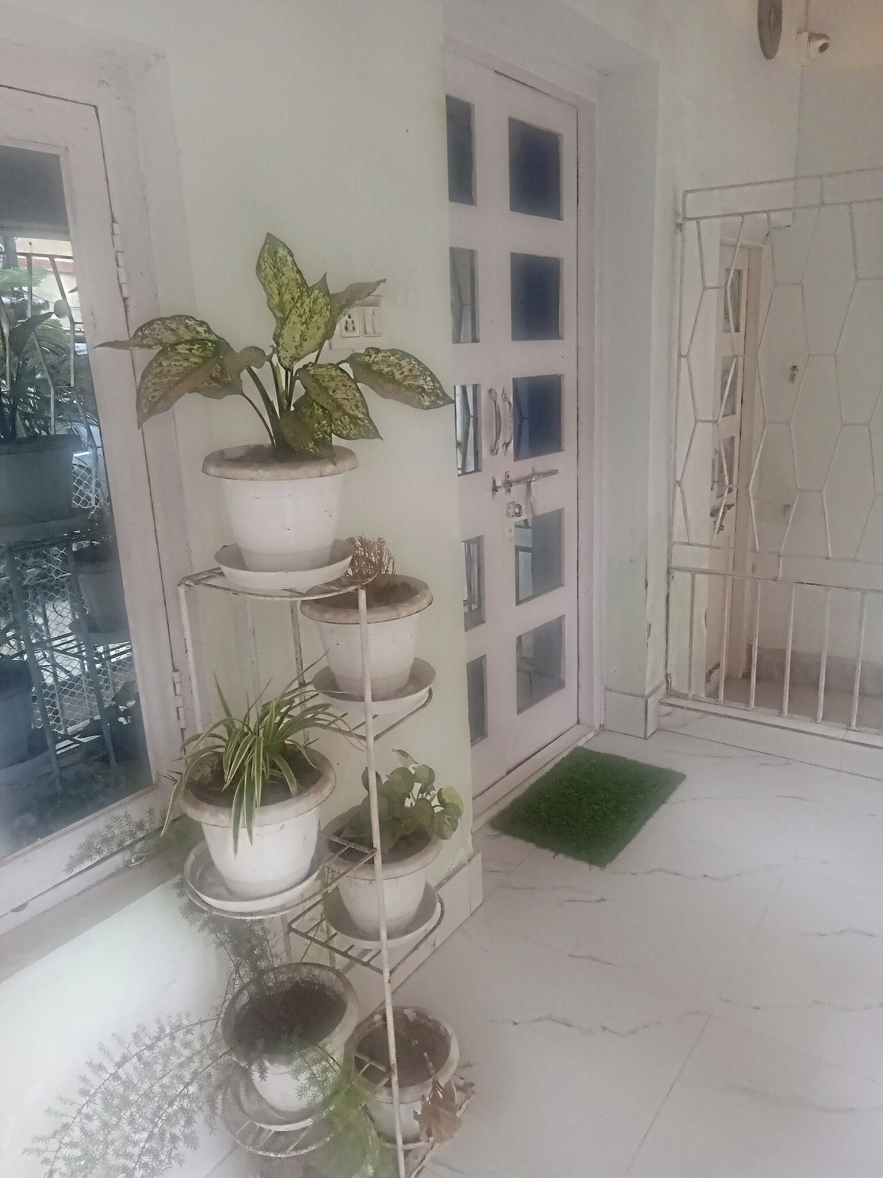 Un sol carrelé de carreaux blancs, une plante en pot posée sur une étagère, une porte avec des panneaux de verre et un portail en métal.