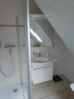 Shower, hair dryer