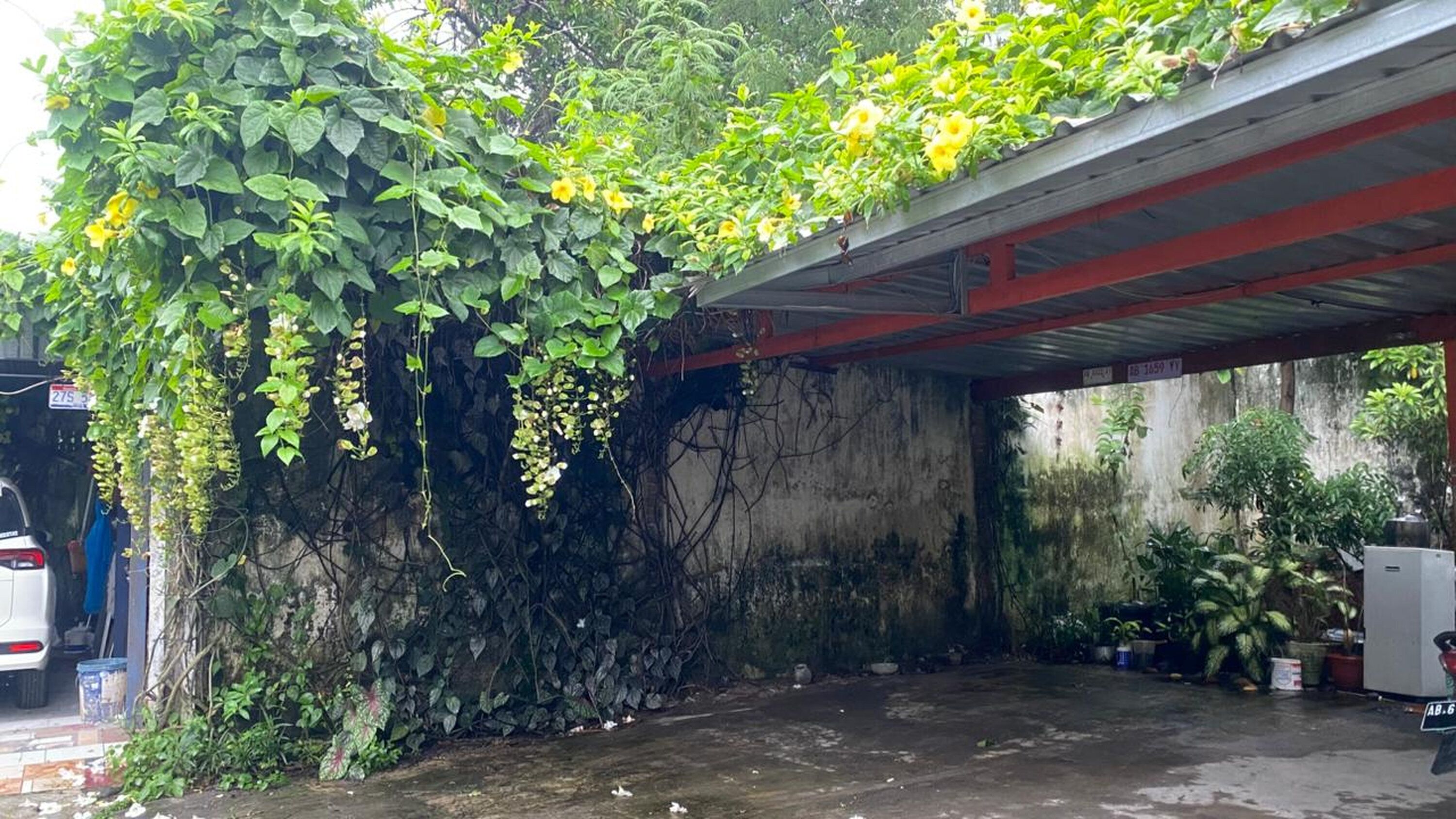 مواقف سيارات مجانية