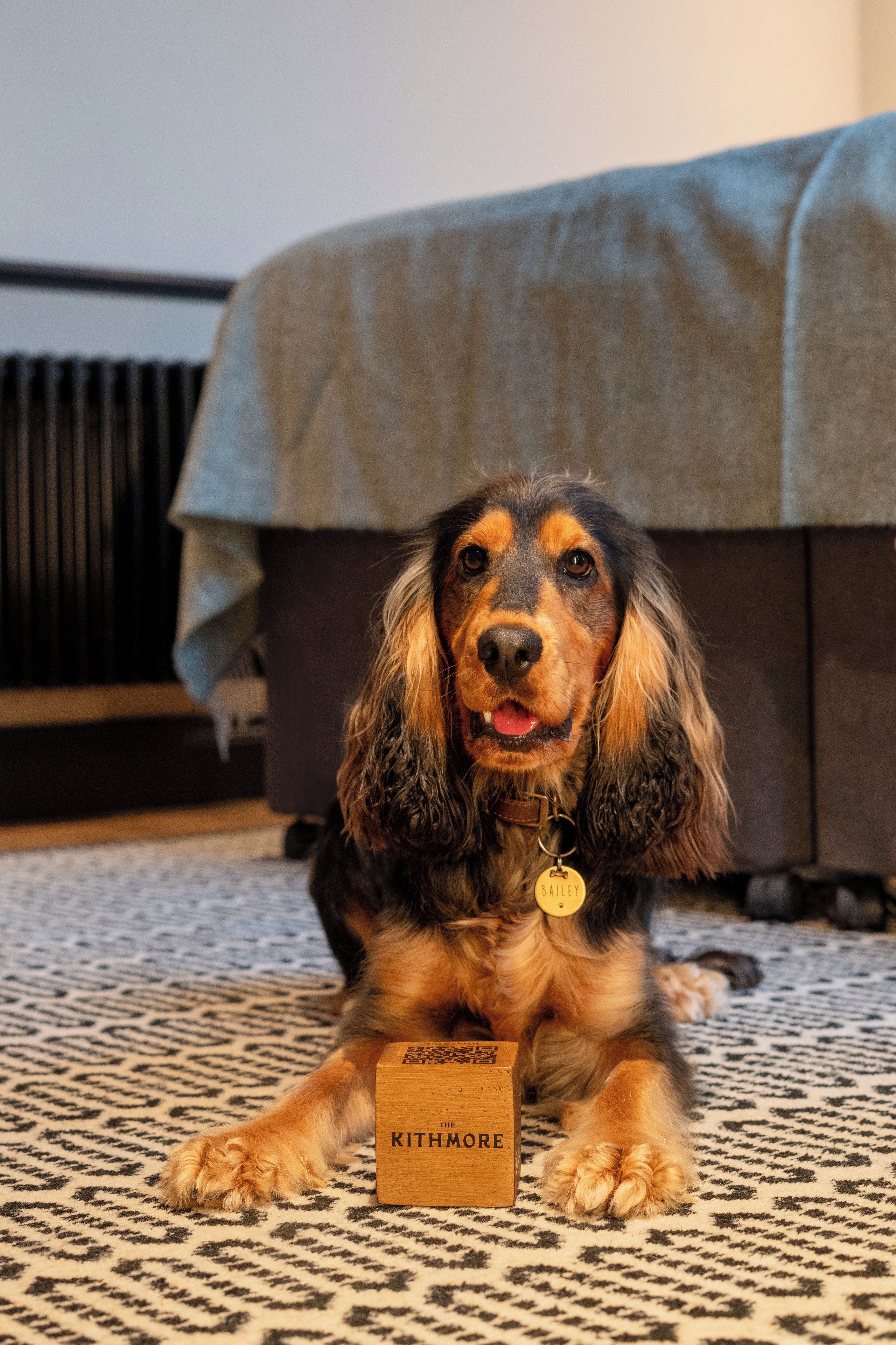 A dog lying on a patterned carpet with a wooden box labeled 'BAILEY' in front of it.