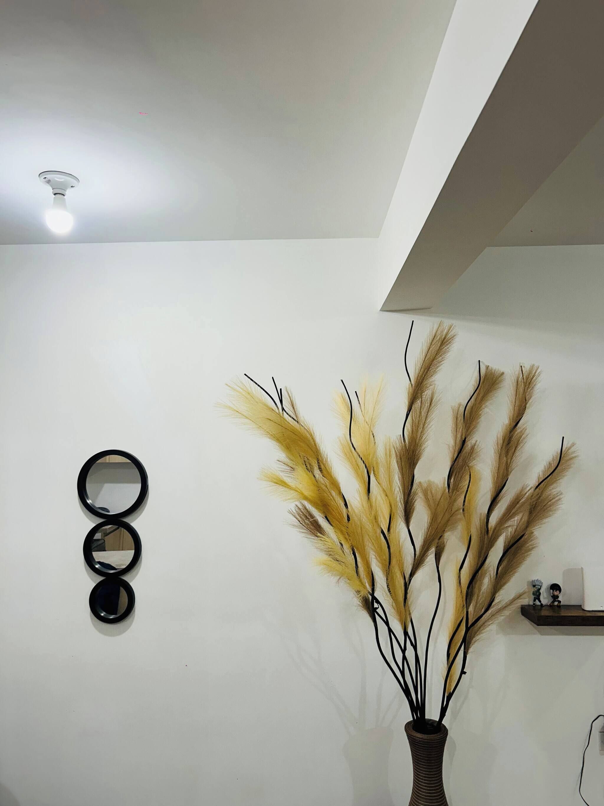 Um quarto com teto branco, luminária no teto, espelho circular fixado na parede e um vaso com plumas de capim-do-campo.