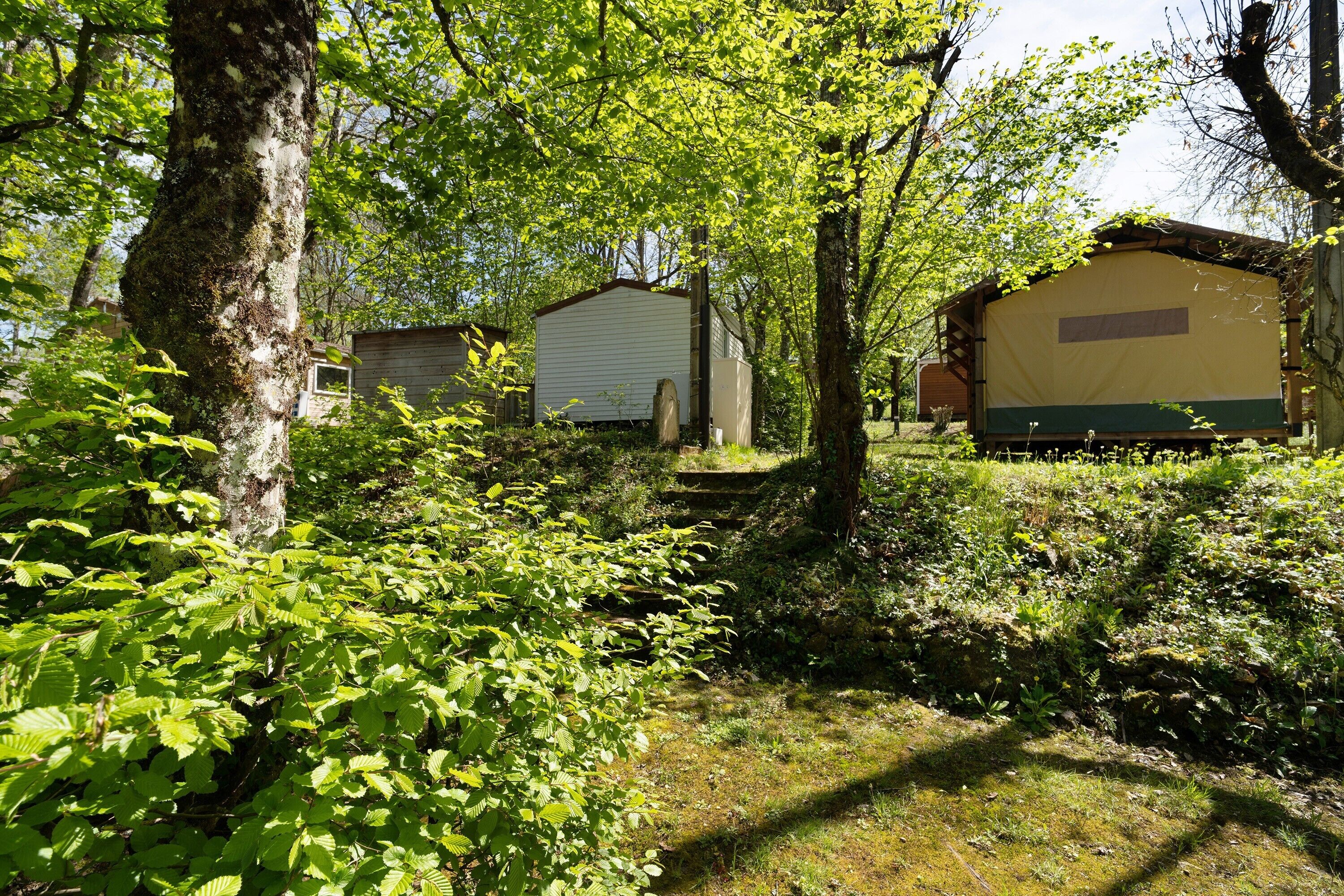 Un terrain de camping doté de plusieurs mobil-homes, entouré d’une végétation luxuriante.