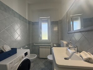 Shower, hair dryer, bidet
