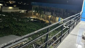 Vista nocturna de un balcón con baranda metálica que da a un jardín con plantas y un coche estacionado.