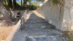 Eine steile Steintreppe führt einen Hügel hinauf, umgeben von Bäumen und einer Steinmauer.