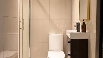 Shower, hair dryer, towels, shampoo