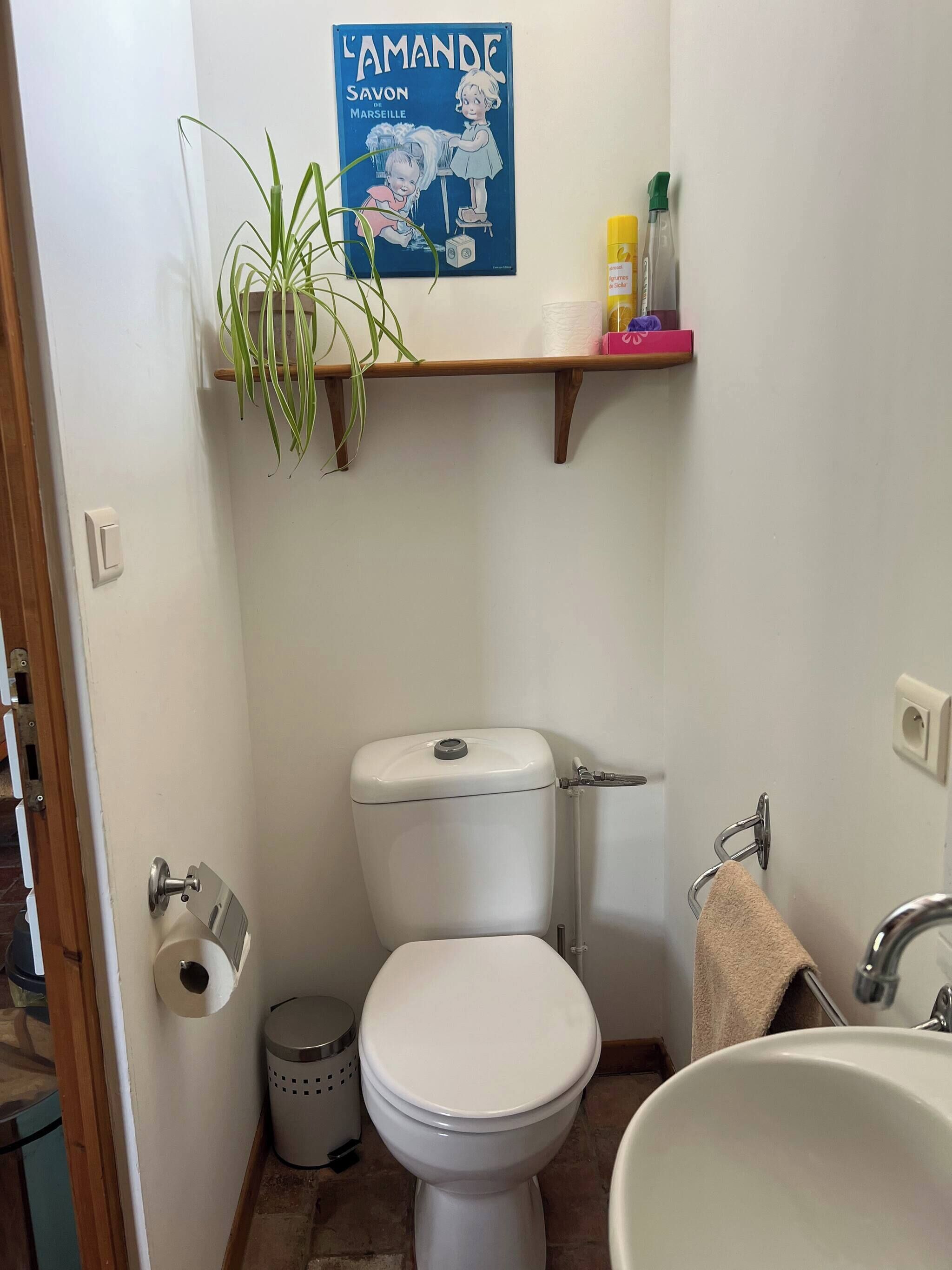 Kylpyhuone, jossa on wc, pesuallas ja hylly, jonka päällä on kasvi ja hygieniatuotteita.