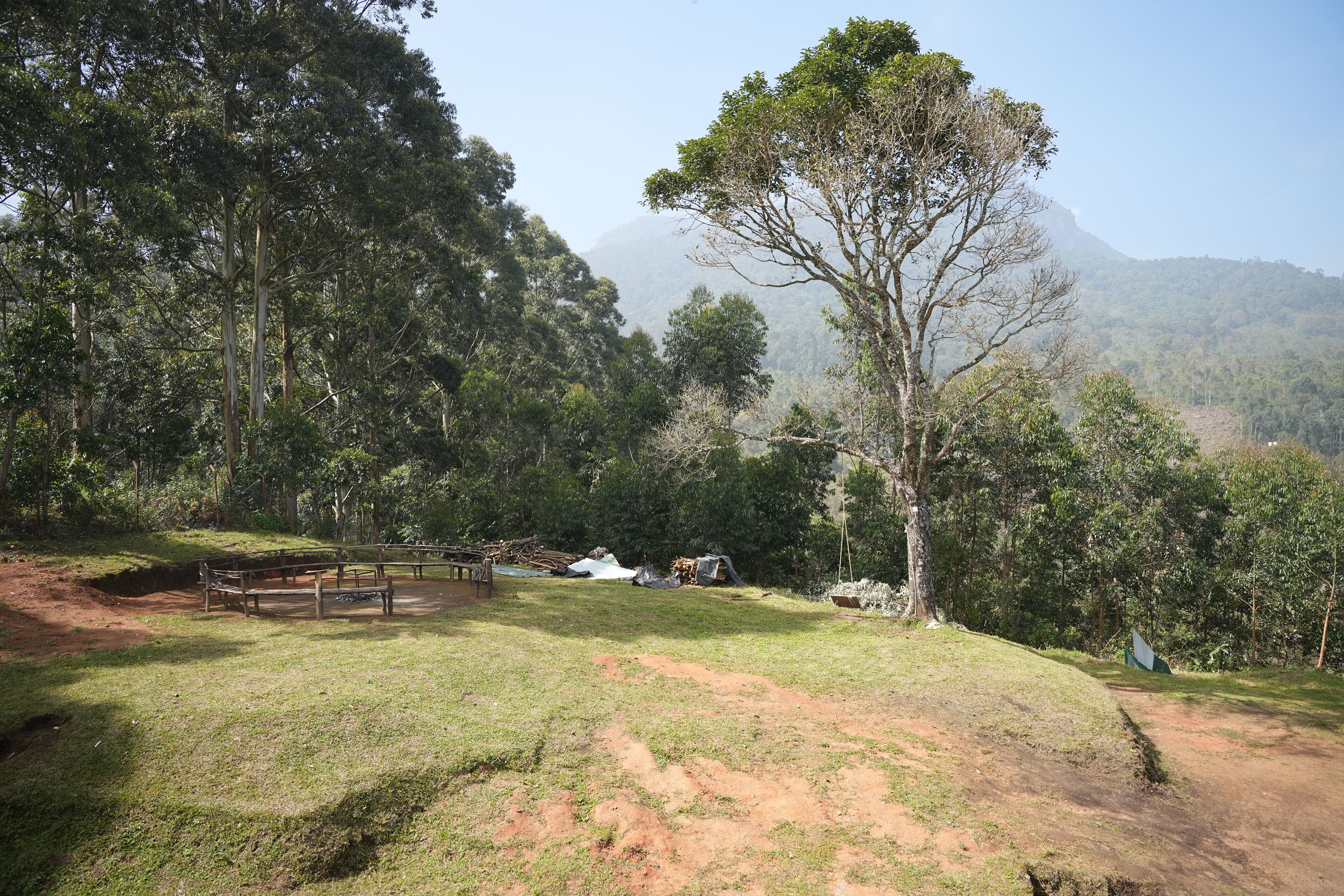 A natural landscape with a grassy area, a wooden bench, and trees.