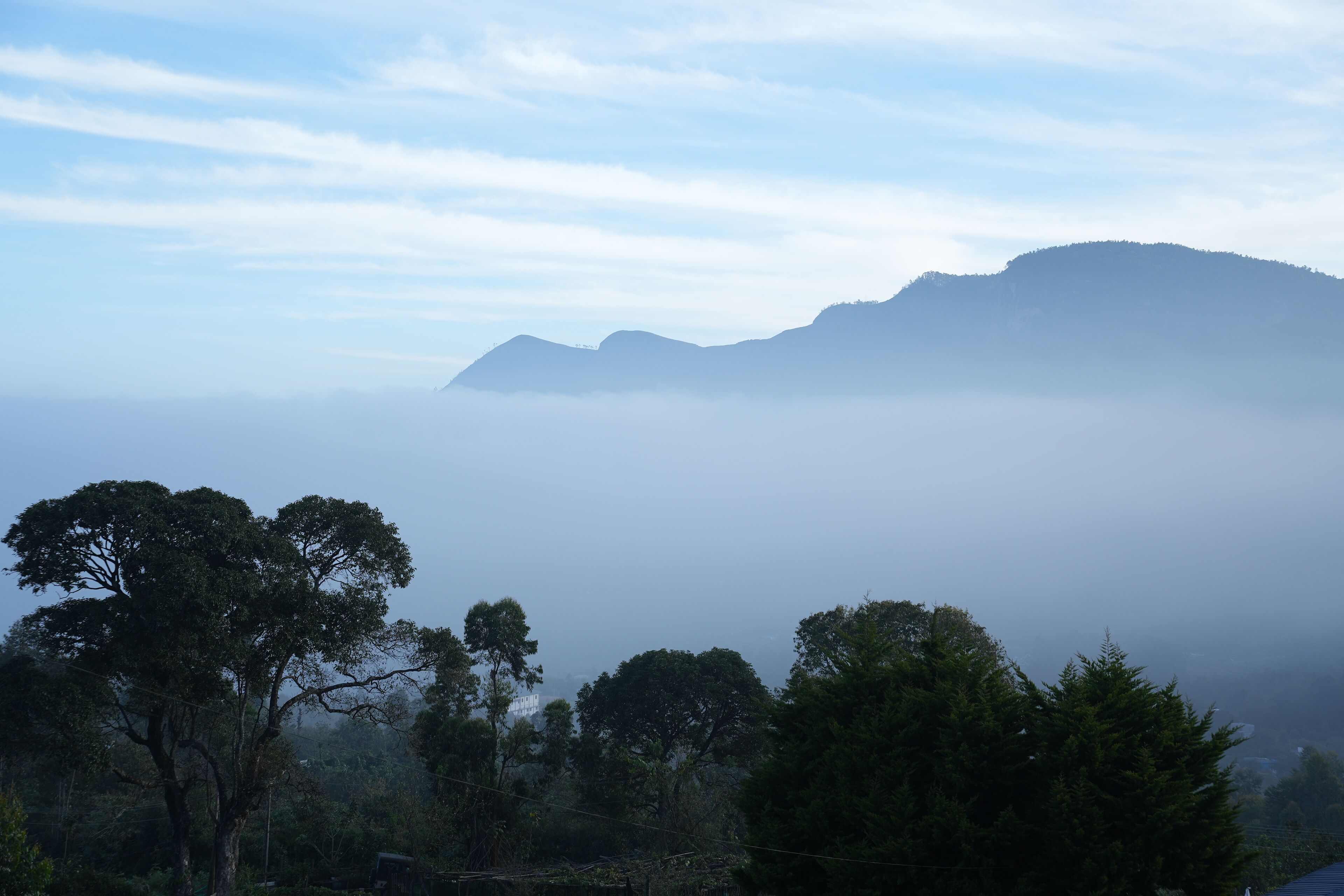 A mountainous landscape with dense forest and a misty atmosphere.