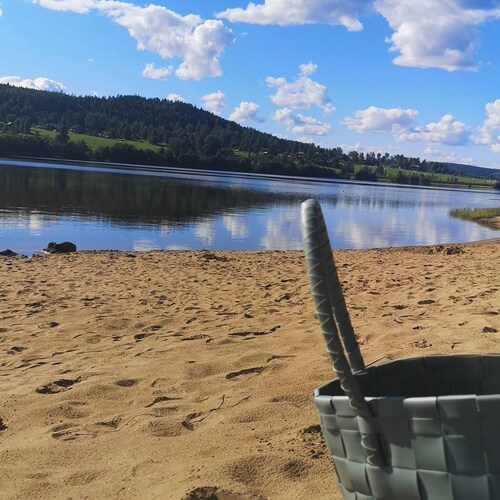 Charming modern house close to Järvsö – with fireplace