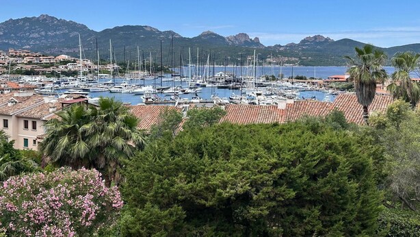 Un port de plaisance où sont amarrés de nombreux voiliers, entouré de bâtiments résidentiels et d’une végétation luxuriante.