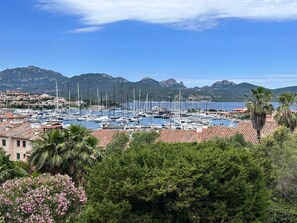 Un port de plaisance où sont amarrés de nombreux voiliers, entouré de bâtiments résidentiels et d’une végétation luxuriante.