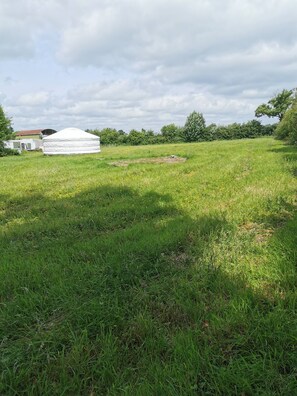 Property grounds - Nomad's Cottage and Yurt (Ballinasloe)
