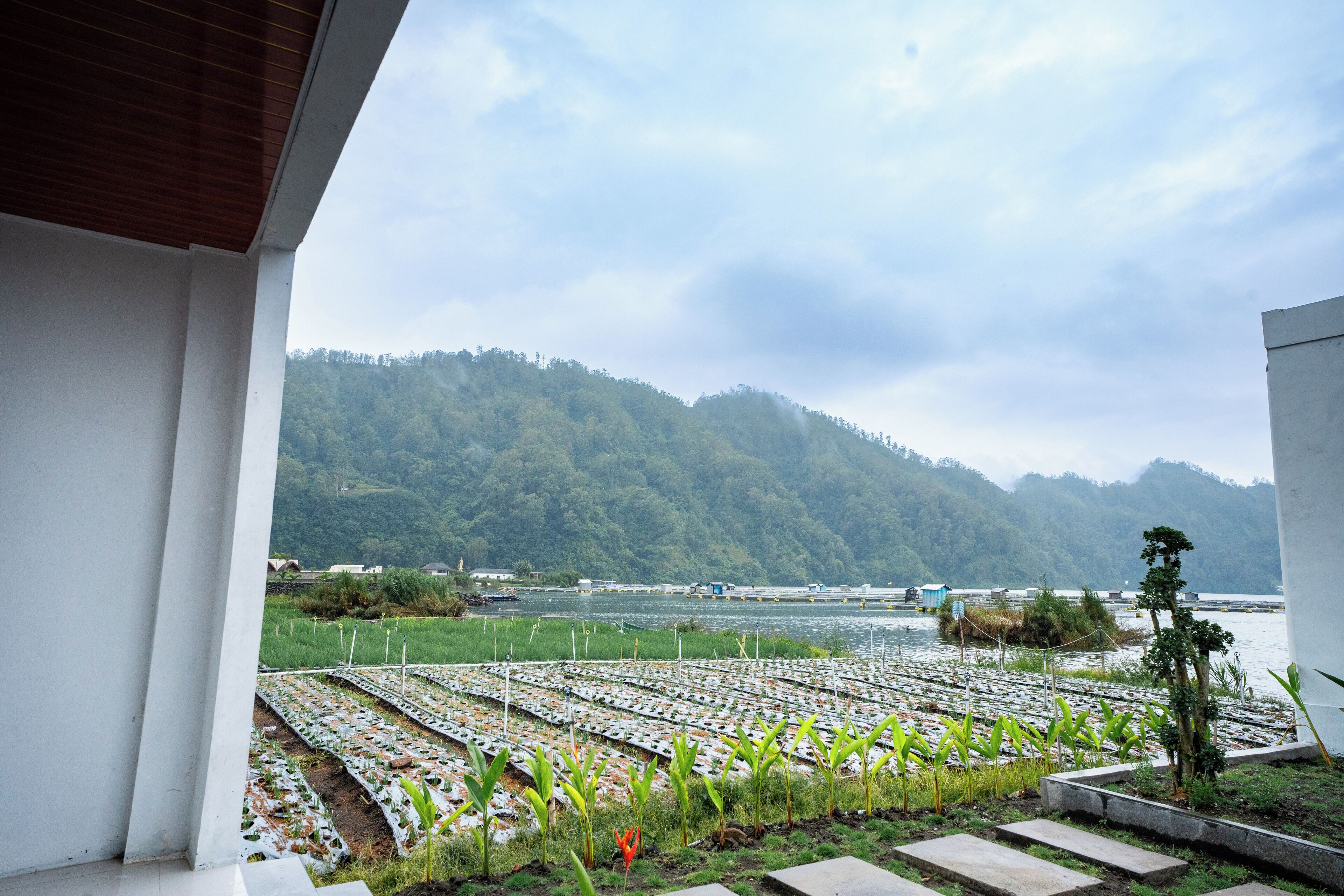 Kamar Deluks | Halaman properti