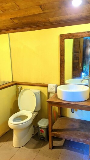 Shower, free toiletries, towels - Balkondes Saka Pitu (Borobudur)