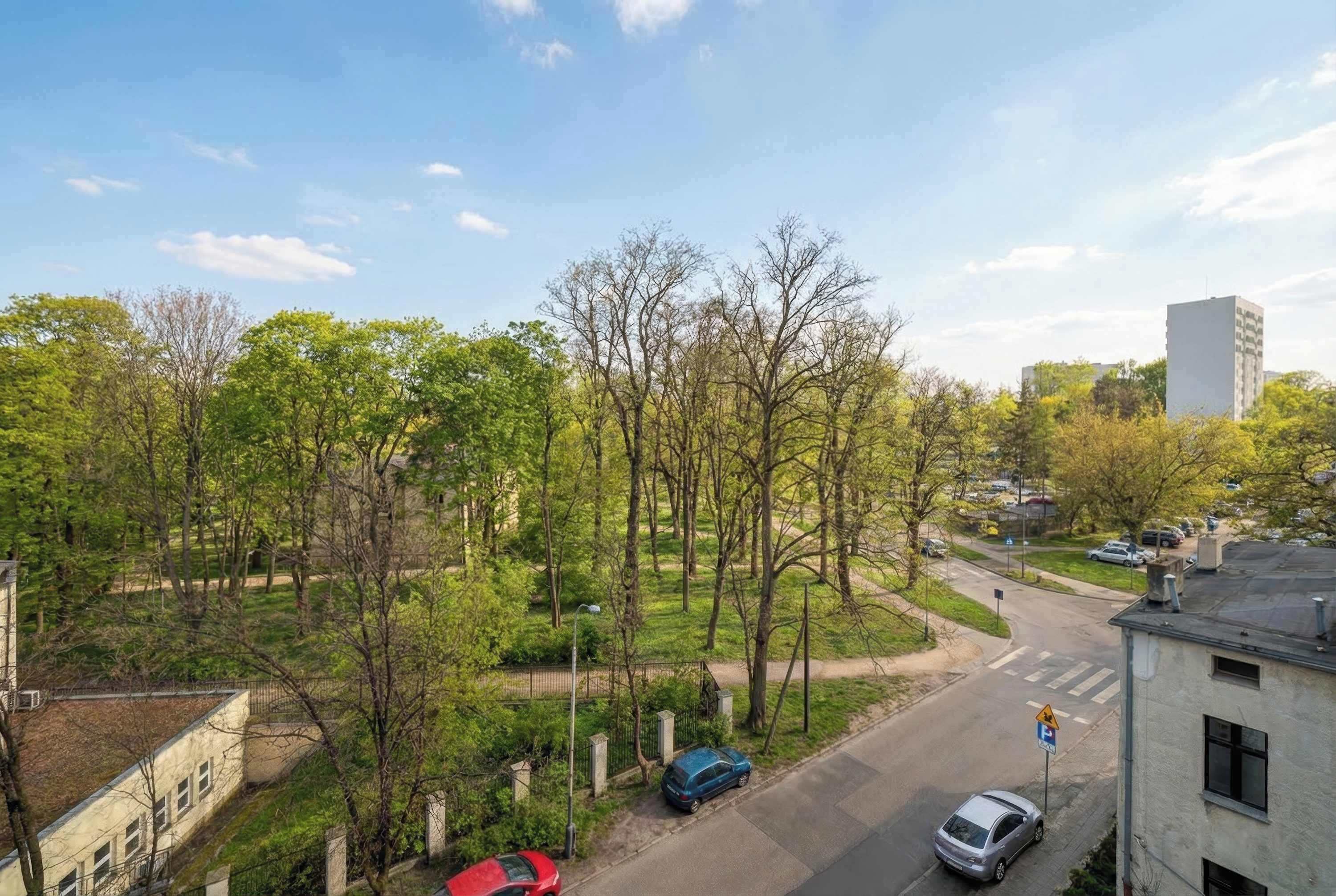 Een woonwijk met een straat, geparkeerde auto's en bomen.