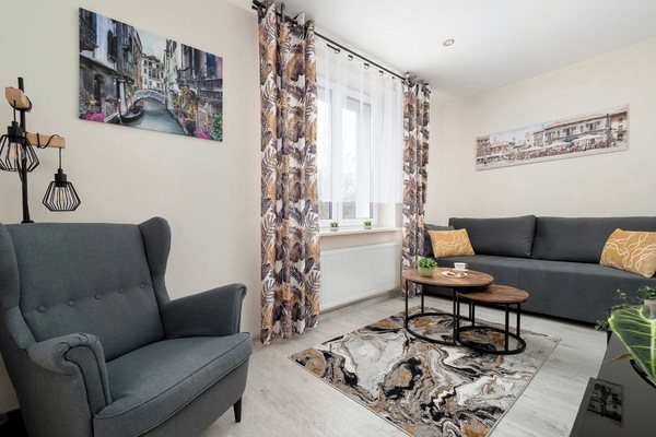 A cozy living room with a gray sofa, patterned rug, round coffee table, and decorative curtains framing a bright window.