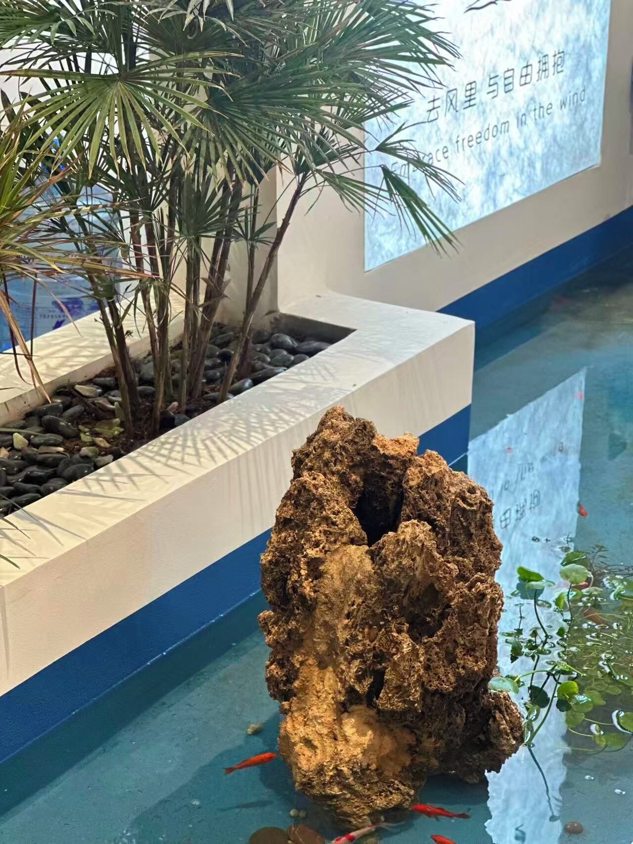 A rock formation in a water feature with a pool and plants.