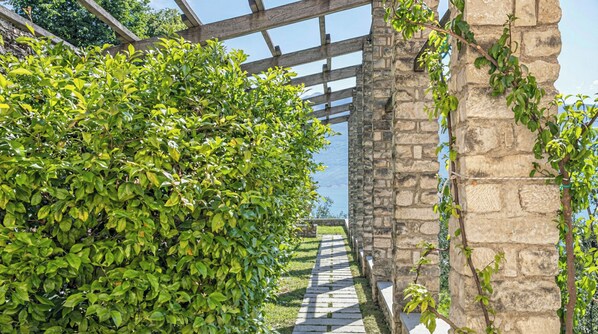 Un chemin de pierre traverse un luxuriant bosquet verdoyant, agrémenté d’une pergola en bois et d’un mur de pierre d’un côté.