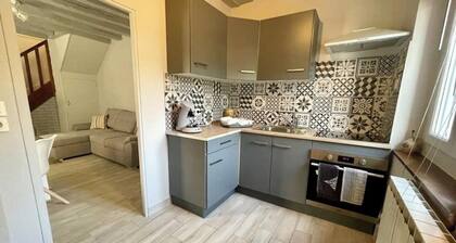 House in the heart of the castles and close to Beauval