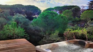 Ein Whirlpool auf einer Holzterrasse mit Blick auf eine bewaldete Landschaft.