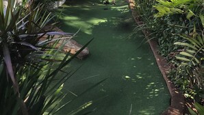 A narrow pathway with artificial turf, surrounded by dense foliage and a metal fence. - Mandurah Crab Fest
Silversands resort  1/bed apartment 
Fully equiped. Max 4 (Mandurah)