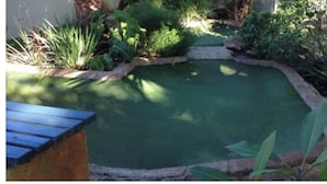 A small, enclosed garden area with a green surface, surrounded by various plants and a stone border. - Mandurah Crab Fest
Silversands resort  1/bed apartment 
Fully equiped. Max 4 (Mandurah)
