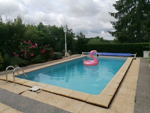 Una piscina con un galleggiante a forma di fenicottero rosa, circondata da vegetazione e un cielo nuvoloso.